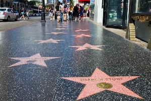 звездой на Голливудской Алее Славы